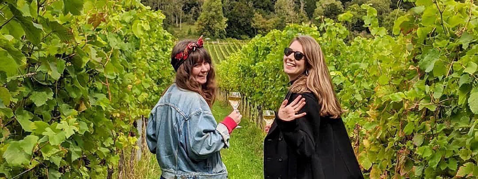 Exquisite English Biodynamic Wines