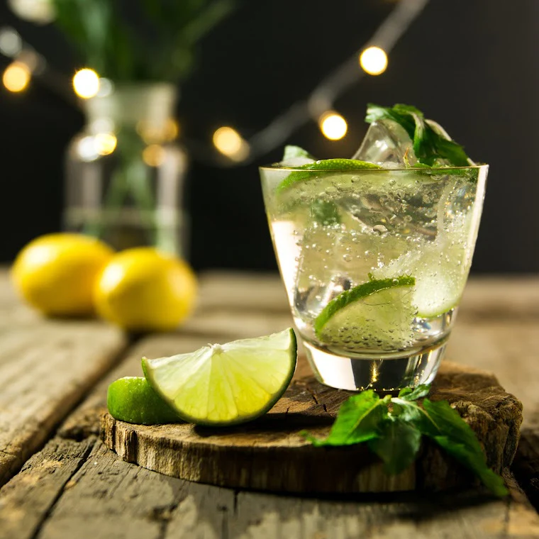 Albury Spritz Cocktail Case - Image 4
